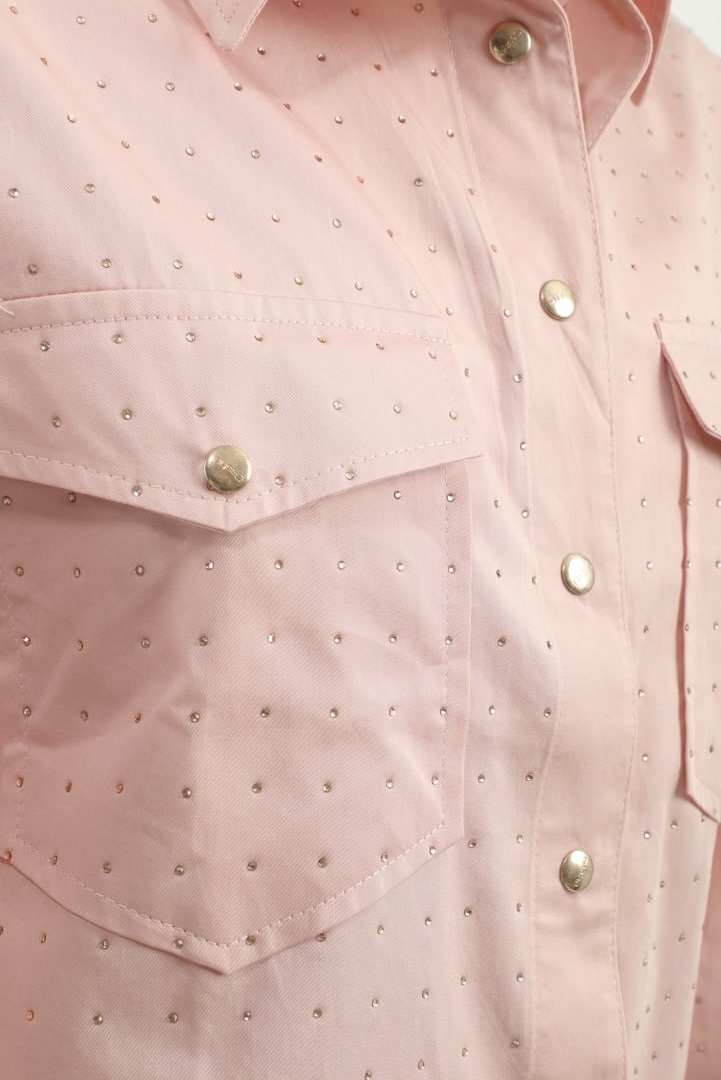 Roze blouse dishe